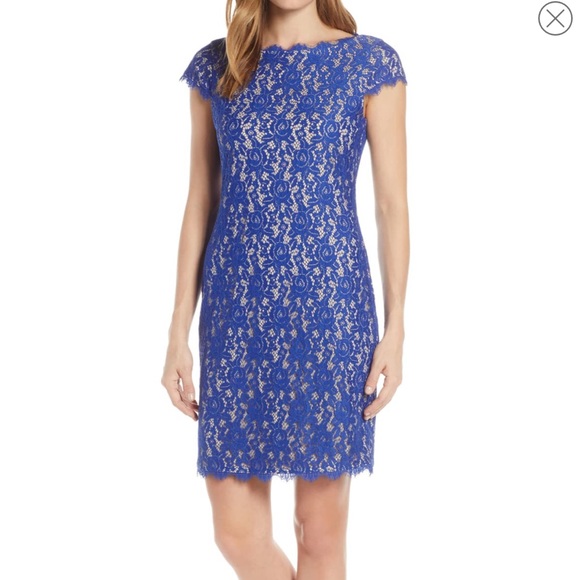Eliza J Cap Sleeve Blue Lace Sheath Dress - Picture 1 of 5